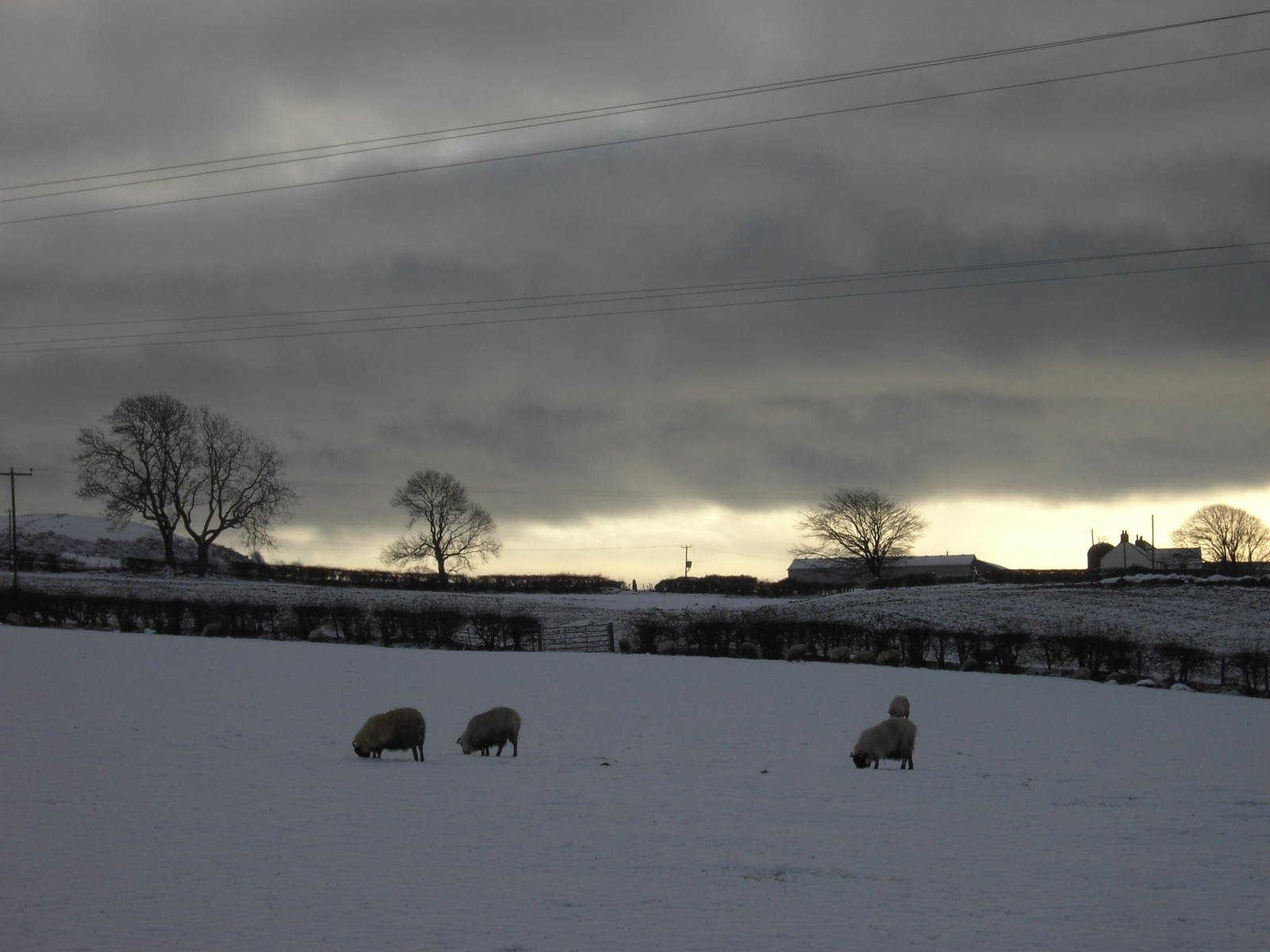 Winter on the Isle of Bute